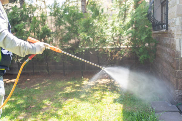 Lawn Pest Control in Port Allegany, PA